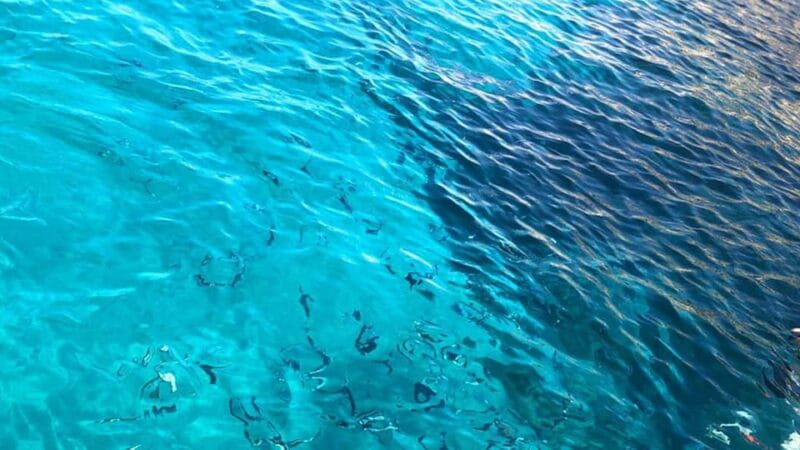 Marseille: Calanques National Park Eco-Friendly Cruise - Discovering the Calanques from the Water: An Authentic Perspective