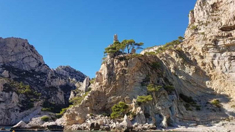 Marseille: Calanques National Park Eco-Friendly Cruise - Why This Tour Is Worth the Price