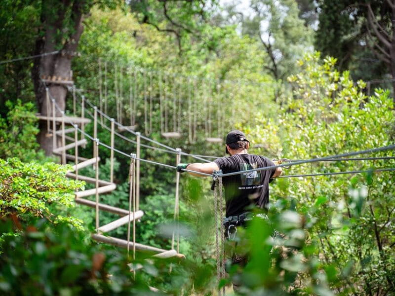 Marseille: Ecopark Adventures Treetop Adventure - Final Thoughts: Is It Worth Your Time?