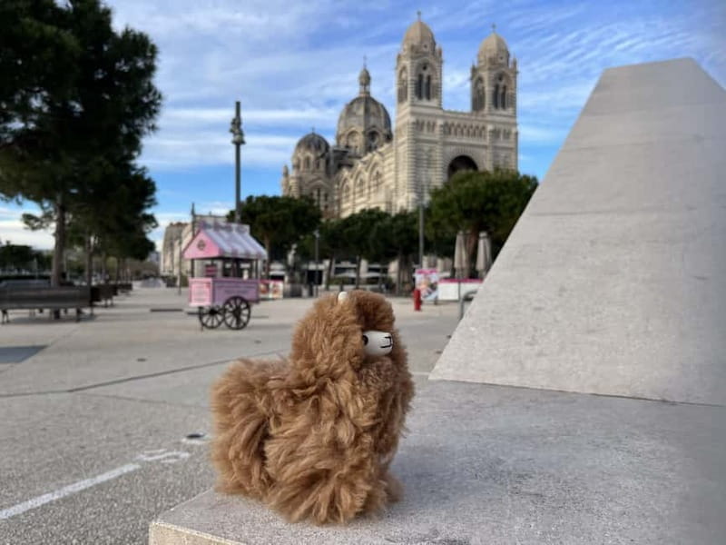 Marseille: Private Customised Walking 2-Hour Tour - Key Points / Takeaways