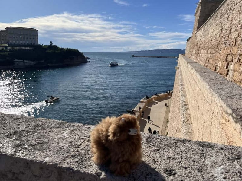 Marseille: Private Customised Walking 2-Hour Tour - Discovering Marseille’s Heart on a Private Walk