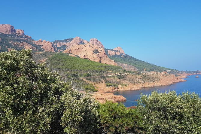 MARSEILLE Shore Excursion : Taste of Provence Aix and Cassis - Key points / Takeaways