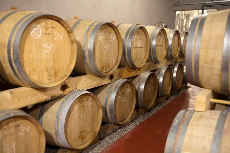Marseille Vieux Port & Wine Tasting - Private Tour - Wine Tasting in Legendary Vineyards