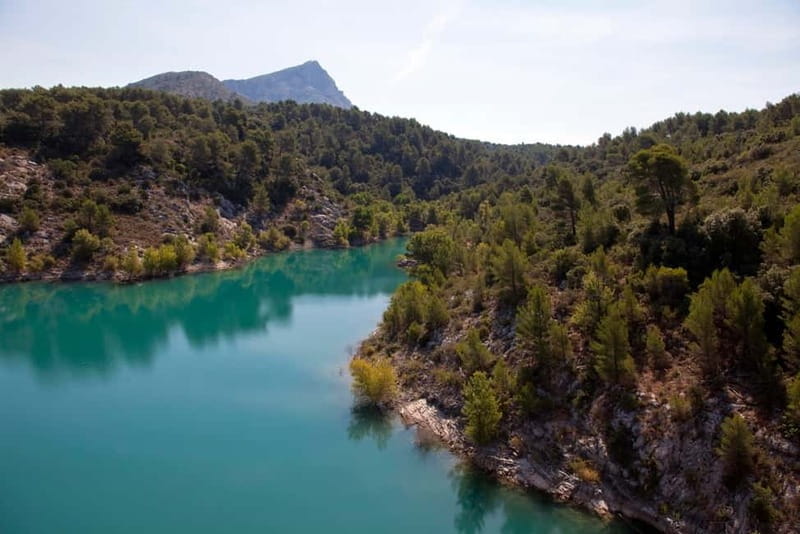 Marseille Vieux Port & Wine Tasting - Private Tour - Price and Value