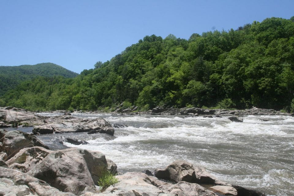 Marshall: French Broad Whitewater River Rafting Experience - Booking and Cancellation