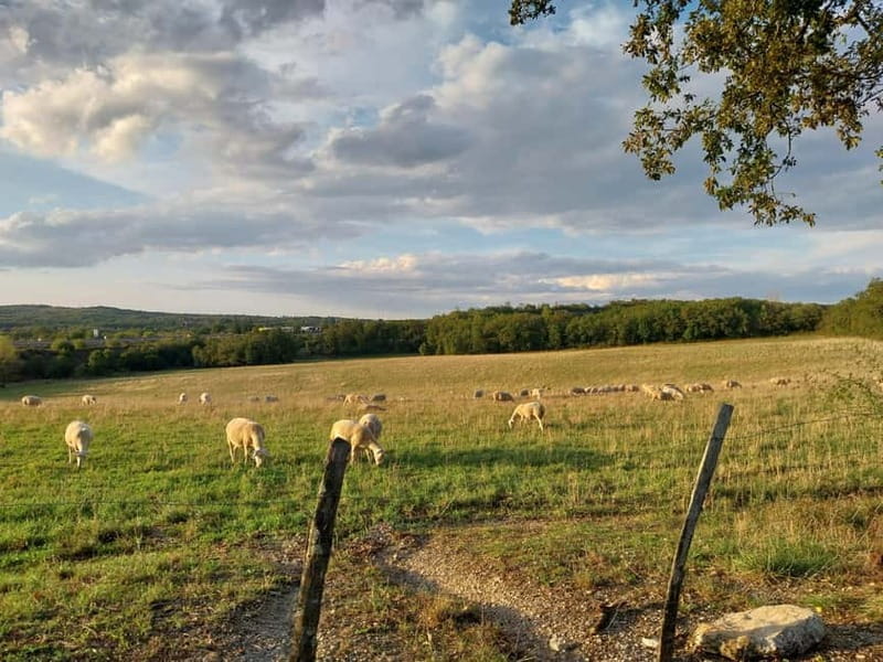 Martel: Guided tour with a guide - Who Will Love This Tour?