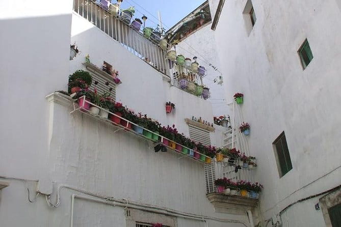 Martina Franca: a gem among Baroque and Rococo style with bocconotti tasting - Key points / Takeaways