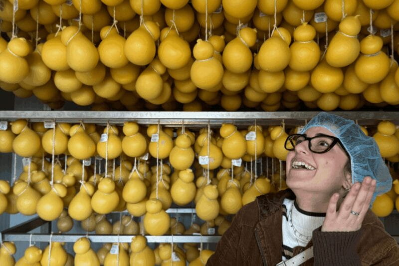 Martina Franca: Mozzarella and Pasta Workshop with Farm Tour - Key points / Takeaways