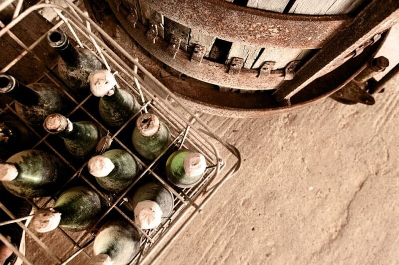 Marzamemi: Dioniso Wine Tour, Tasting & Typical Dishes - Key Points / Takeaways about the Dioniso Wine Tour