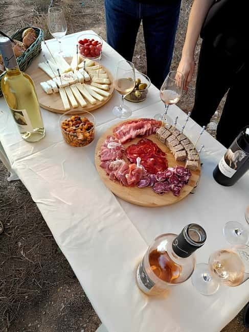 Mas Farchat: Wine tasting and tapas in the heart of nature - Key Points / Takeaways