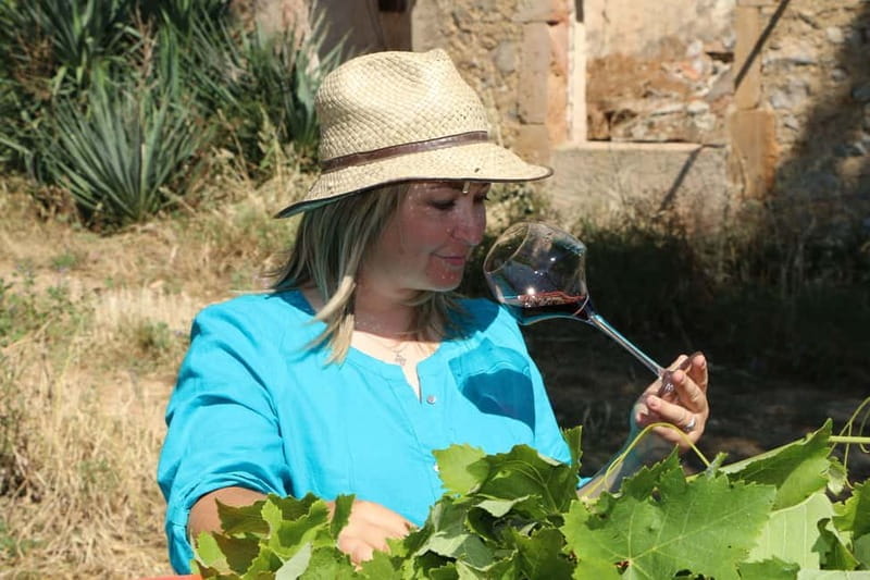 Mas Farchat: Wine tasting and tapas in the heart of nature - Discovering Mas Farchat: A Genuine Taste of Occitanie