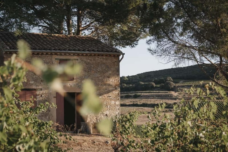 Mas Farchat: Wine tasting and tapas in the heart of nature - Evening Walk Back and Additional Details