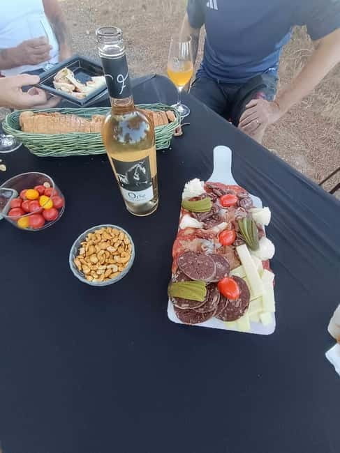 Mas Farchat: Wine tasting and tapas in the heart of nature - Price and Logistics