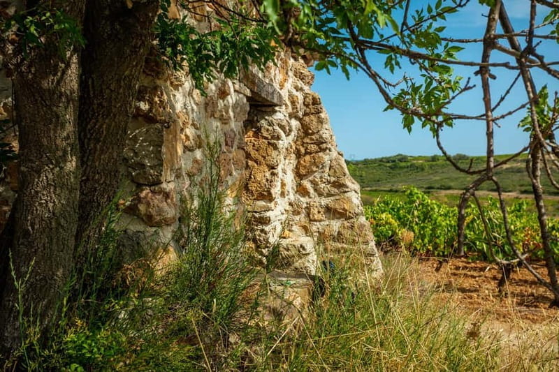 Mas Farchat: Wine tasting and tapas in the heart of nature - FAQ