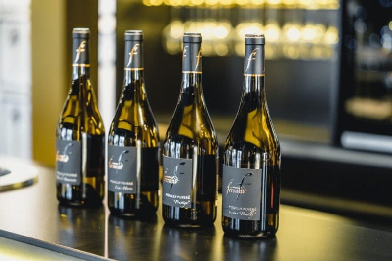 Mason: Visit and Tasting of the Estate's Wines - The Experience’s Practical Details: What You Need to Know