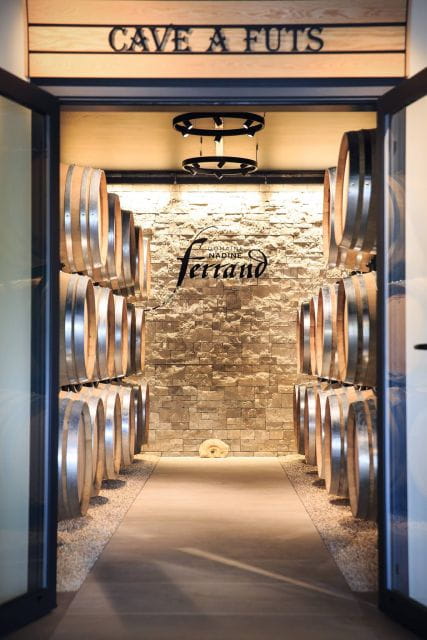 Mason: Visit and Tasting of the Estate's Wines - The Sum Up: Who Should Consider This Tour?