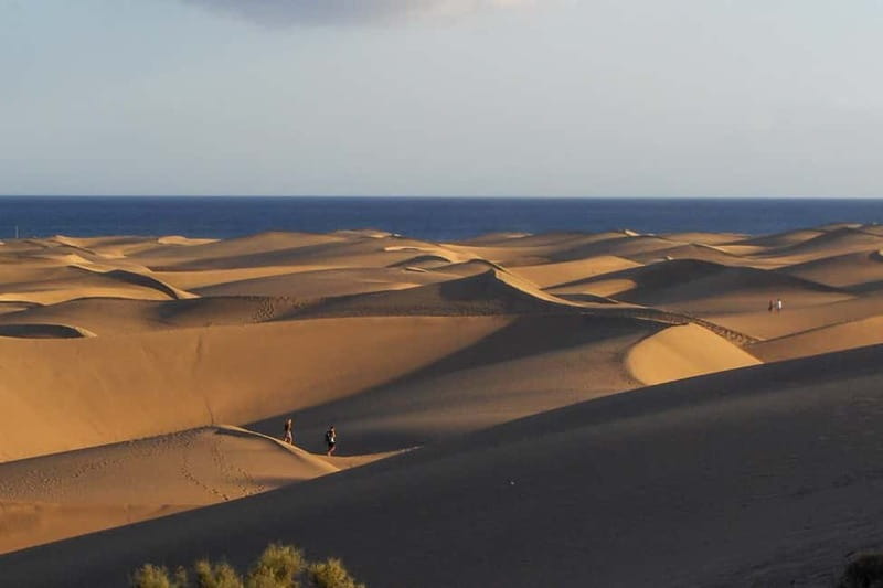 Maspalomas: 1 Hour Segway Sightseeing Tour - Key points / Takeaways