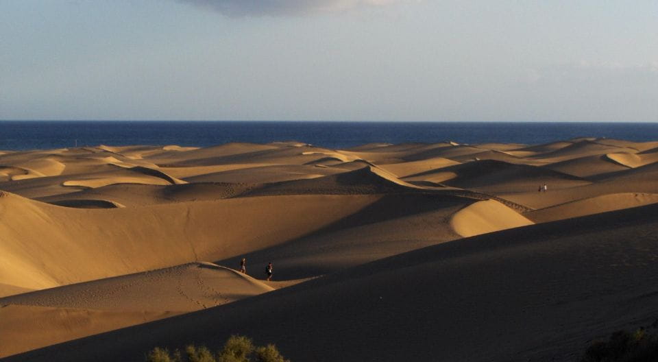 Maspalomas: 1 to 7-Day Mountain Bike Rental - Reservation and Cancellation Policy