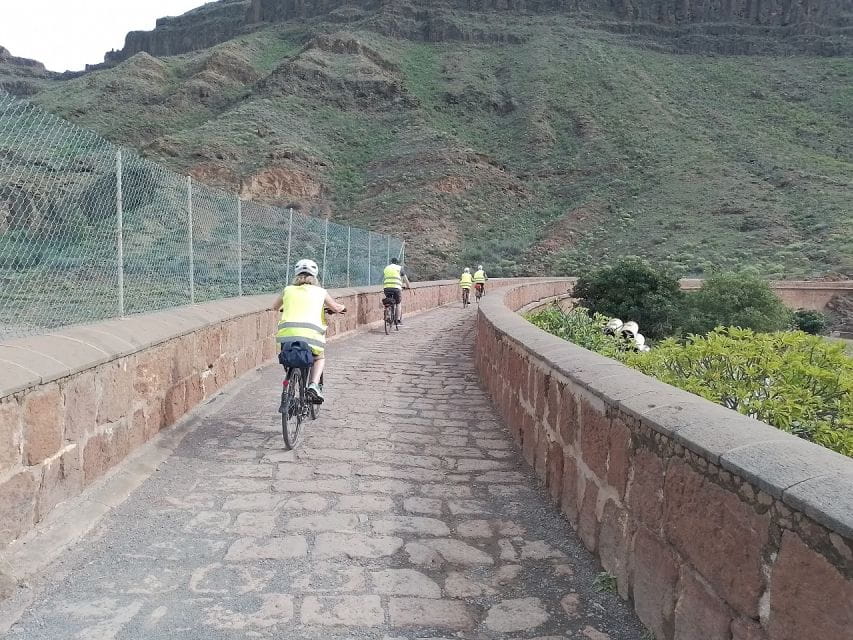 Maspalomas: Ayagaures Hills E-Bike Tour Optional Tapas - What to Expect on Tour