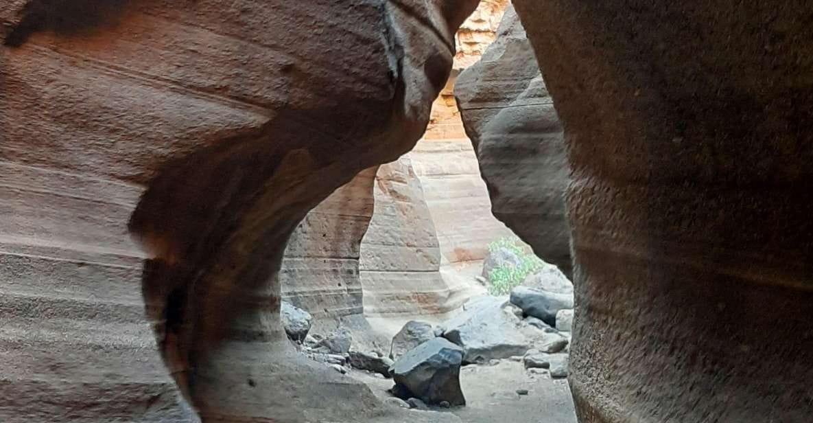 Maspalomas: Barranco De Las Vacas, Caves, Farmhouse Tour - Key Points