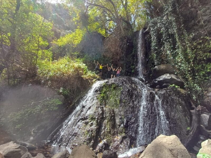 Maspalomas: Barranco de los Cernicalos Rainforest Hike - Food and Rest Stops: Keeping You Energized
