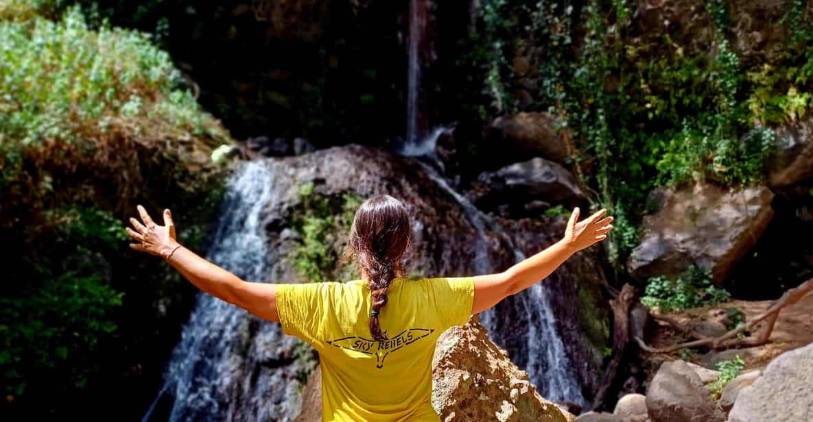 Maspalomas: Barranco De Los Cernicalos Rainforest Hike - Itinerary Highlights