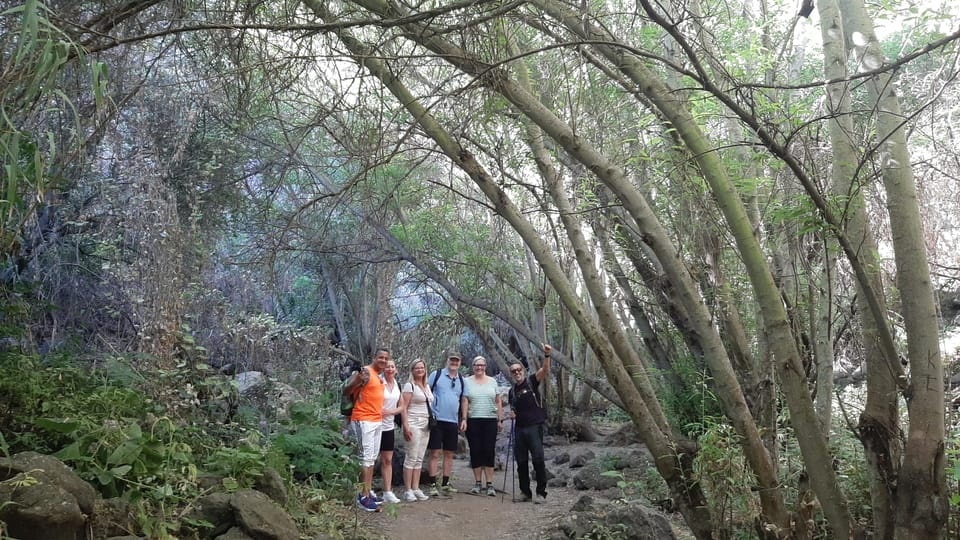 Maspalomas: Barranco De Los Cernicalos Rainforest Hike - Things To Know