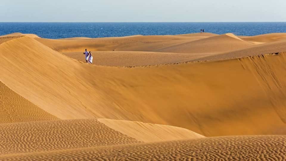 Maspalomas: E-Bike Tour Optional Camel Ride - Meeting Point Details
