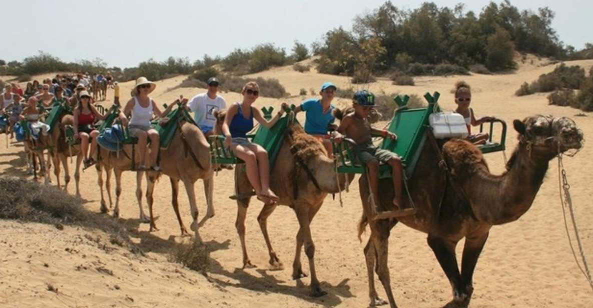 Maspalomas: Guided Camel Ride in the Maspalomas Sand Dunes - Unique Riding Experience