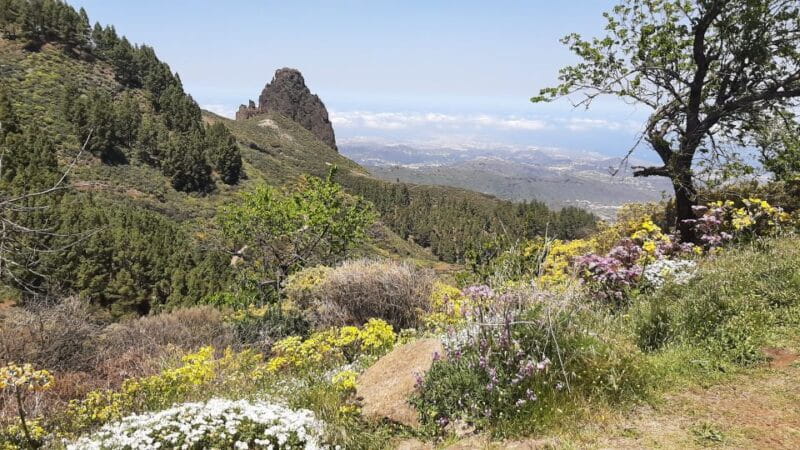 Maspalomas: Hiking to Roque Nublo with 2 authorised guides - Practicalities: Logistics, Duration, and Whats Included