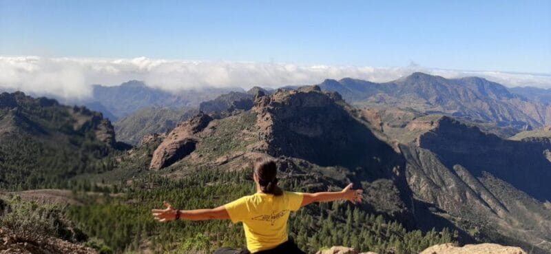 Maspalomas: Hiking to Roque Nublo with 2 authorised guides - Who Will Love This Tour?
