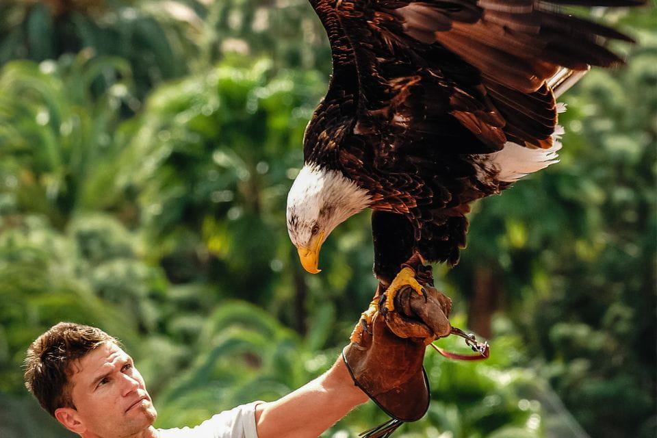 Maspalomas: Palmitos Park Ticket With Dolphin and Bird Shows - Park Overview