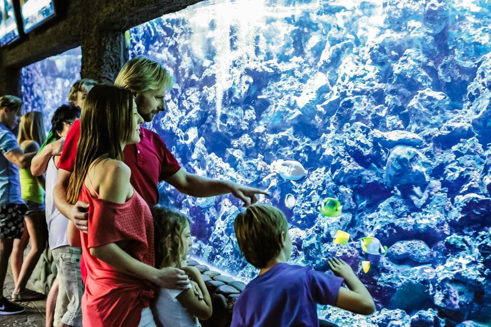 Maspalomas: Palmitos Park Ticket With Dolphin and Bird Shows - Customer Reviews and Ratings