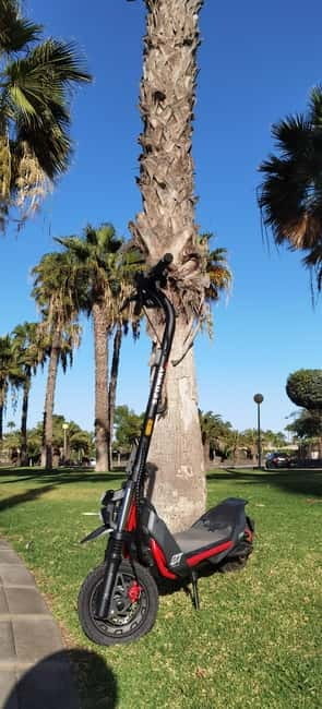 Maspalomas & Playa del Ingles: Guided Electric Segway Tour - Discovering Gran Canaria on a Segway