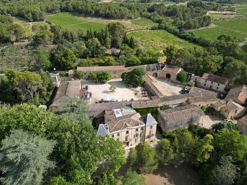 Massmamier La Mignarde : Wine Tasting - Key points / Takeaways