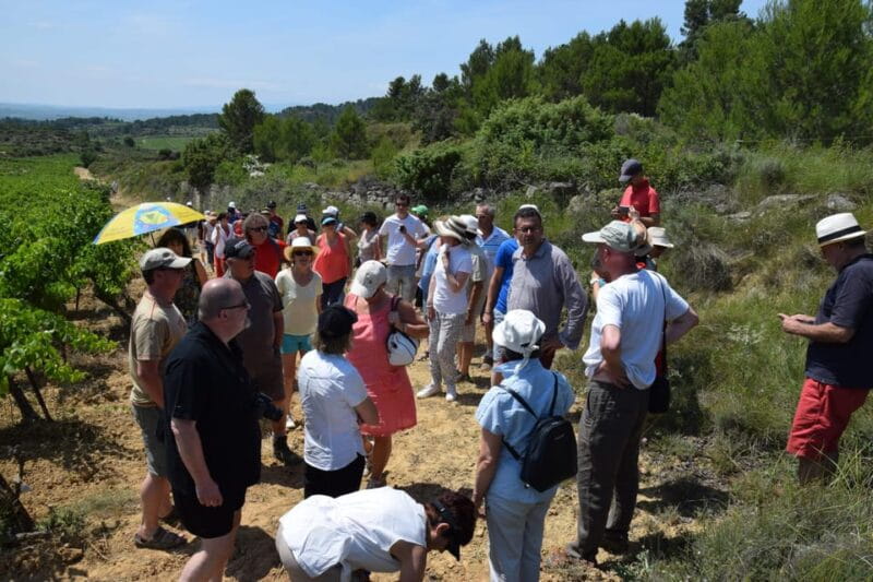 Massmamier La Mignarde : Wine Tasting - FAQ