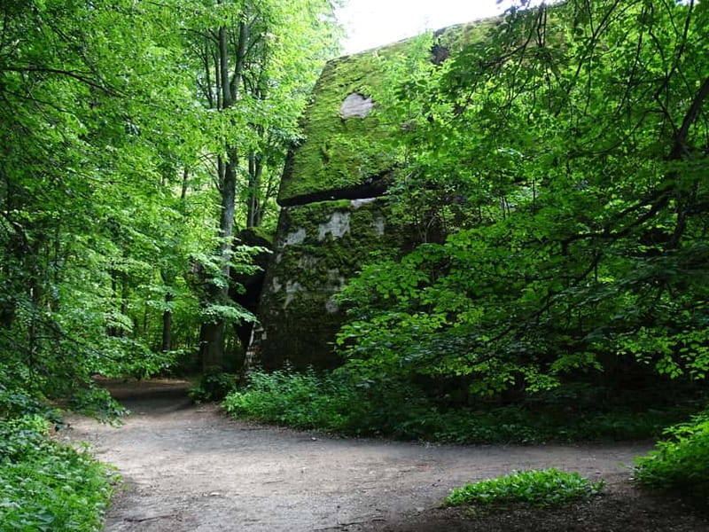 Masurian Lake District: The Wolfs Lair and Yacht Tour - The Yacht Cruise: Scenic, Delicious, and Sunset-Ready