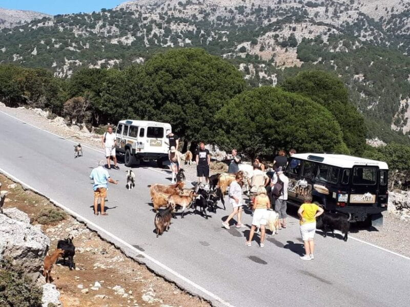 Matala Agiofarago Gorge Safari Tour - Discovering Matala and the Hippie Caves