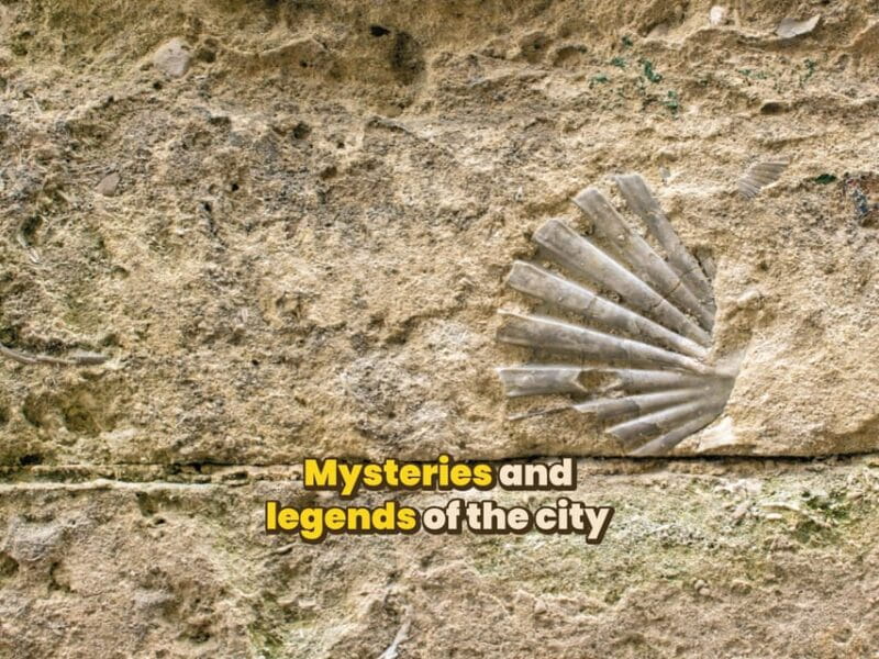 Matera: Digital guide made with a Local guide for your tour - Final Thoughts: Who Should Consider This Tour?