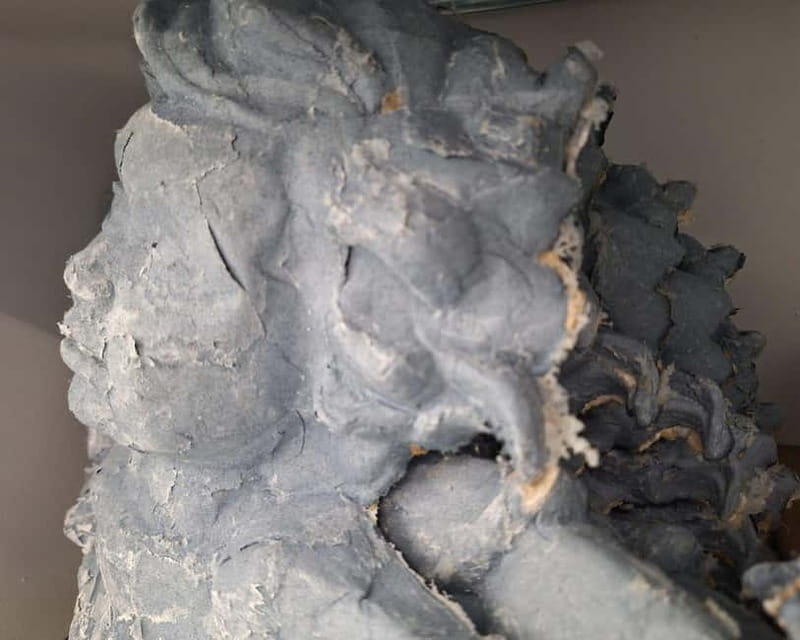 Matera. Paper mache workshop with the artisans of the Bruna float - FAQ