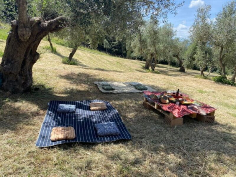 Matera: Pic-Nic under the Centuries-Old Olive Trees - Key Points / Takeaways
