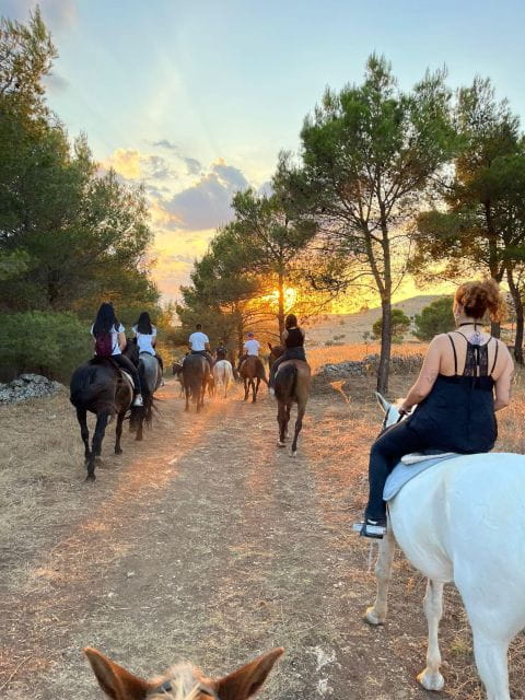 Matera: sunset horseback riding tour on Murgia - Key points / Takeaways