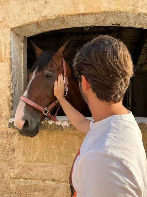 Matera: sunset horseback riding tour on Murgia - Discovering Matera’s Murgia on Horseback: A Deep Dive