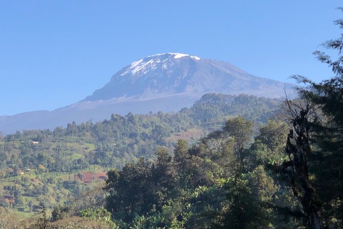 Materuni Waterfalls & Coffee Tour - Pricing and Cancellation