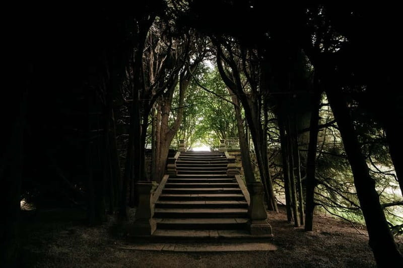 Mateus Palace - In the Footsteps of Wine History - FAQs