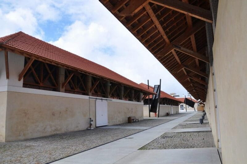 Matosinhos (Porto): From the Sea to your Plate Food Tour - Practicalities and Value