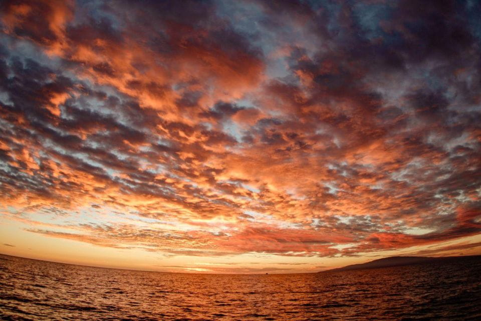 Maui: Luxury Alii Nui Catamaran Royal Sunset Dinner Sail - Cancellation and Reservation Policy