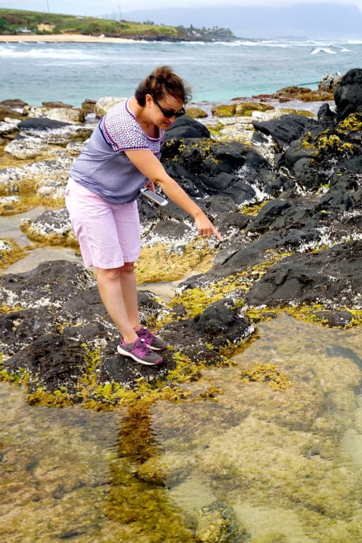 Maui: Private Guided Round-Trip Excursion to Hana - Reservation and Entrance Fee