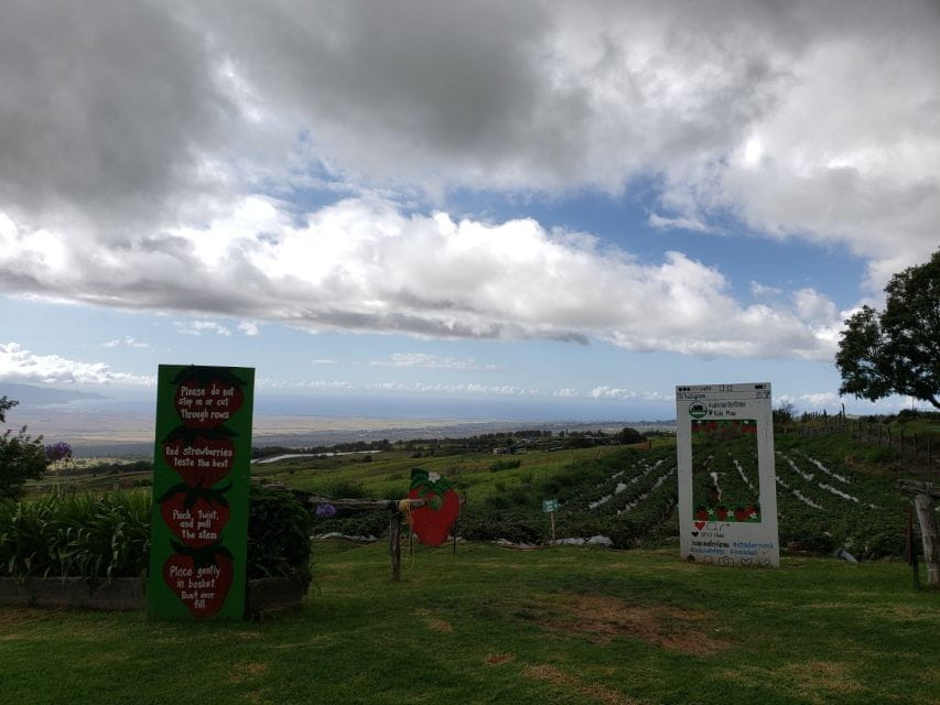 Maui: Road to Hana Adventure With Breakfast & Lunch - Breakfast Sandwich