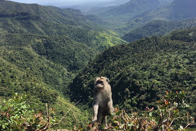 Mauritius Full Day Tour : Private South West With Lunch - Pickup and Timing